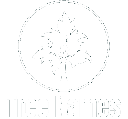 names of indian trees